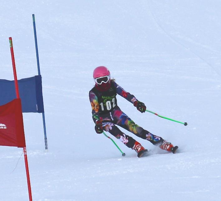 Custom Break-A-Way® 20X30 FIS Gate Panels