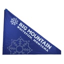 Custom Break-A-Way® 44X52 GS Tri-Panel Snowboard Gate Panel